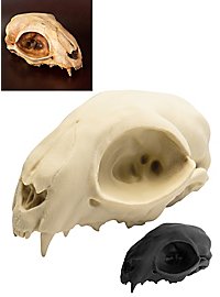 3D-Druck Katzenschädel zum Selbstbemalen (12cm)