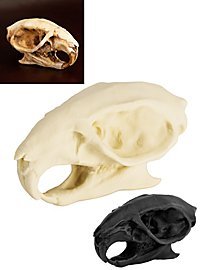 3D-Druck Rattenschädel zum Selbstbemalen (7cm)