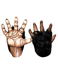 Chimp Hands brown