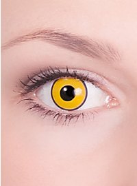 Corbeau Lentilles de contact