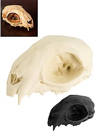 Crâne de chat imprimé en 3D à peindre soi-même (12 cm)