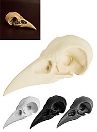 Crâne de corbeau imprimé en 3D à peindre soi-même (10 cm)
