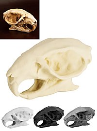 Crâne de rat imprimé en 3D à peindre soi-même (7 cm)