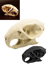 Crâne de rat imprimé en 3D à peindre soi-même (7 cm)