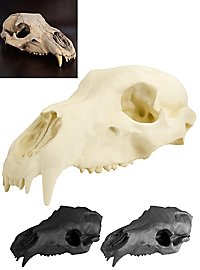 Crâne d'ours imprimé en 3D à peindre soi-même (27cm)