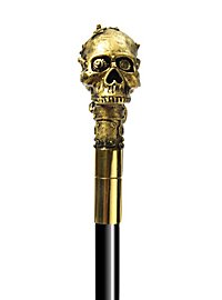 Cranio con bastone da passeggio