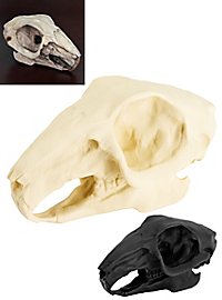 Cranio di coniglio stampato in 3D da dipingere (10cm)