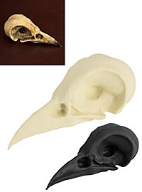 Cranio di corvo comune stampato in 3D da dipingere (7cm)