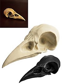 Cranio di corvo stampato in 3D da dipingere (10cm)