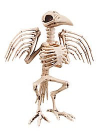 Décoration d'Halloween Squelette d'oiseau