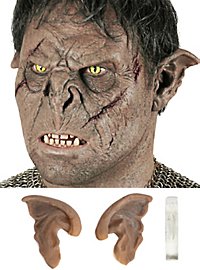 Iturevne Orkeører Brune