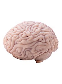 Klein Hersenen Van Siliconen (12 Cm)
