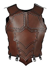 Lederrüstung - Drachenreiter braun