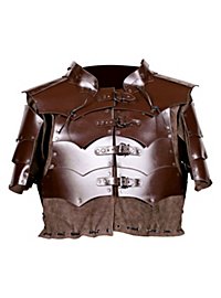 Leather Armor Assassin brown