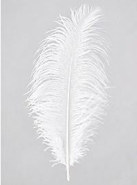 Ostrich Feather, white