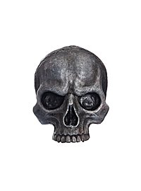 Placa Decorativa De Calavera De Resina - Pequeña, Color Metálico