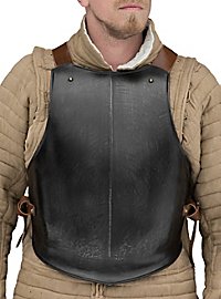 ✍ Boutique d'armures médiévales : Découvrez la meilleure sélection d'armures  authentiques - MedieWorld