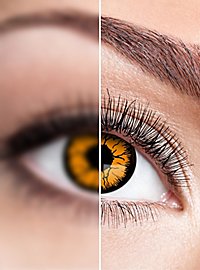 Pumpkin contact lens with diopters
