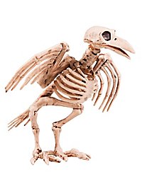 Scheletro di corvo decorazione di Halloween