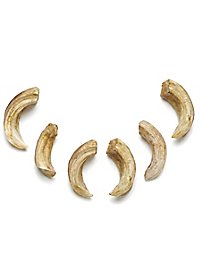 Set di ossa in resina fusa - zanna di cinghiale (6 pezzi)