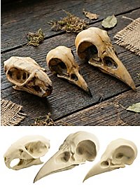 Set di teschi 3D da dipingere - corvo, corvo imperiale, ratto