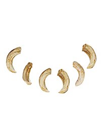 Set of Resin Bones - Boar tusks (6 Pieces)