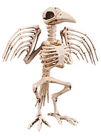 Vogelskeleton Halloween Decoratie