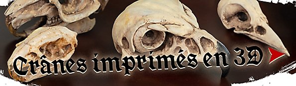 Crânes imprimés en 3D et accessoires pour le GN