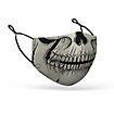 Fabric mask skull