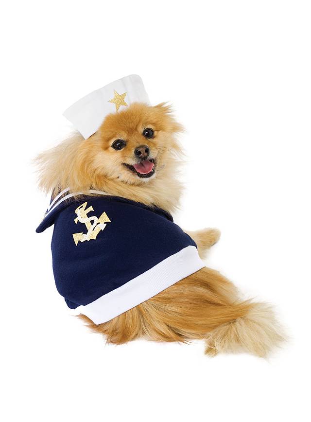 Matrose Hundekostüm für die Boot Party