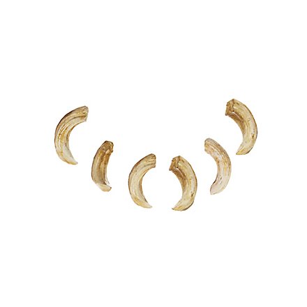 Set of Resin Bones - Boar tusks (6 Pieces)