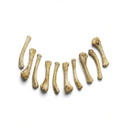 Set of Resin Bones - Chicken legs (10 Pieces)