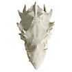 3D-Druck Drachenschädel zum Selbstbemalen (32 - 42cm)