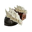 3D-Druck Drachenschädel zum Selbstbemalen (32 - 42cm)