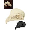 3D-printed hawk skull for self-painting (11cm)