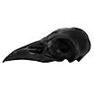 Cranio di corvo stampato in 3D da dipingere (10cm)