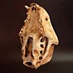 Cranio di gatto stampato in 3D da dipingere (12cm)