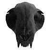 Cranio di gatto stampato in 3D da dipingere (12cm)