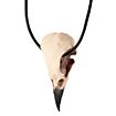 Crow Skull Pendant with leather band