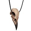 Raven skull pendant with leather tong (11cm)
