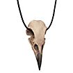 Raven skull pendant with leather tong (11cm)