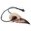 Raven skull pendant with leather tong (11cm)