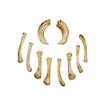 Set of Resin Bones - Soothsayer (10 Pieces)