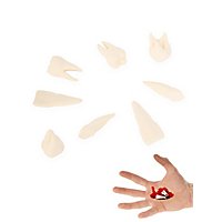 3D-Druck - 8 Stk. menschliche Zähne mit Schraubdose