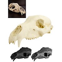 3D-Druck Bärenschädel zum Selbstbemalen (27 cm)