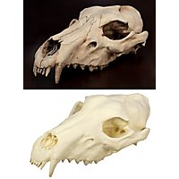 3D-Druck Wolfsschädel zum Selbstbemalen (25 cm)