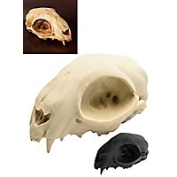 Crâne de chat imprimé en 3D à peindre soi-même (12 cm)