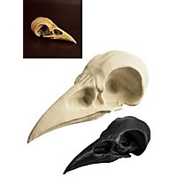 Crâne de corbeau imprimé en 3D à peindre soi-même (10 cm)