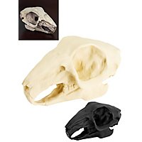 Crâne de lapin imprimé en 3D à peindre soi-même (10 cm)