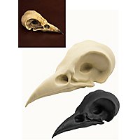 Cranio di corvo comune stampato in 3D da dipingere (7cm)